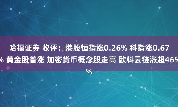 哈福证券 收评：港股恒指涨0.26% 科指涨0.67% 黄金股普涨 加密货币概念股走高 欧科云链涨超46%