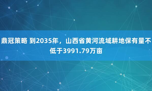 鼎冠策略 到2035年，山西省黄河流域耕地保有量不低于3991.79万亩